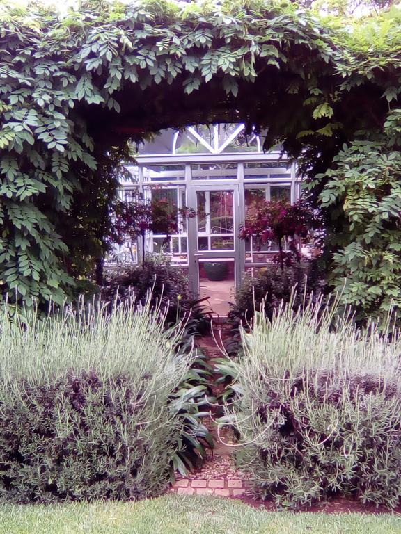Doveton House Bed and Breakfast Johannesburg Buitenkant foto