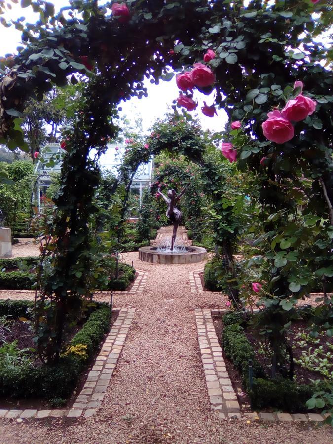 Doveton House Bed and Breakfast Johannesburg Buitenkant foto